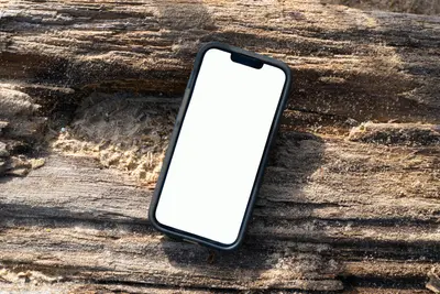 studio phone mockup template